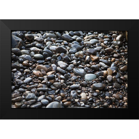Pebble Patch II Black Modern Wood Framed Art Print by Millet, Karyn