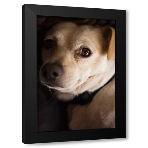 Second Glance Black Modern Wood Framed Art Print by Millet, Karyn