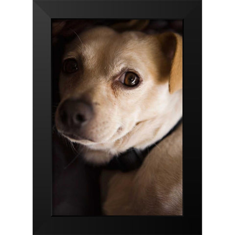 Second Glance Black Modern Wood Framed Art Print by Millet, Karyn