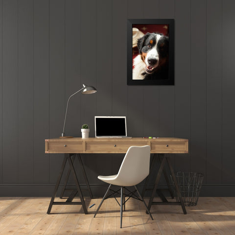 Ranch Dog Black Modern Wood Framed Art Print by Millet, Karyn