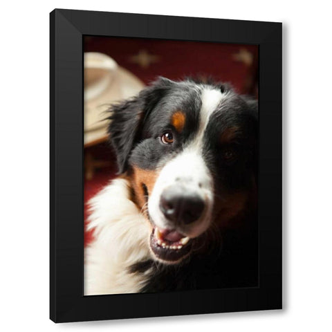 Ranch Dog Black Modern Wood Framed Art Print by Millet, Karyn
