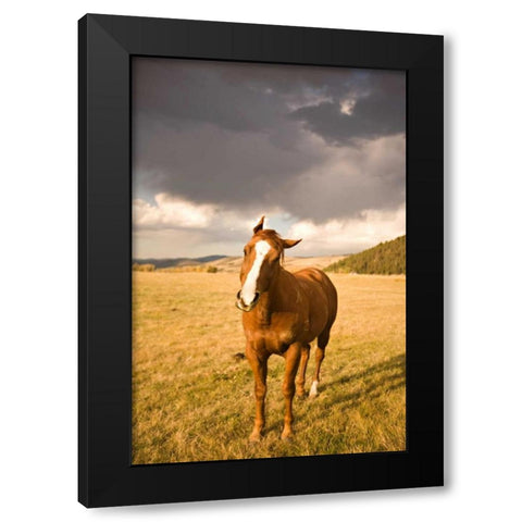 Out in the Pasture I Black Modern Wood Framed Art Print with Double Matting by Millet, Karyn