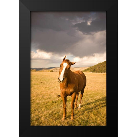 Out in the Pasture I Black Modern Wood Framed Art Print by Millet, Karyn