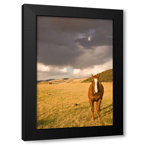 Out in the Pasture II Black Modern Wood Framed Art Print by Millet, Karyn