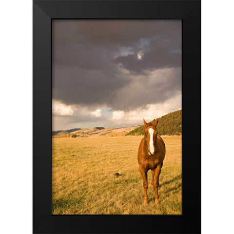 Out in the Pasture II Black Modern Wood Framed Art Print by Millet, Karyn