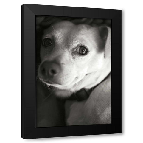 Second Glance Black Modern Wood Framed Art Print by Millet, Karyn