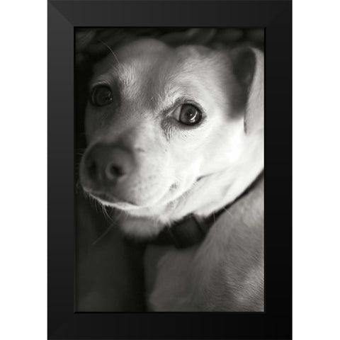 Second Glance Black Modern Wood Framed Art Print by Millet, Karyn
