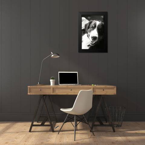 Ranch Dog Black Modern Wood Framed Art Print by Millet, Karyn