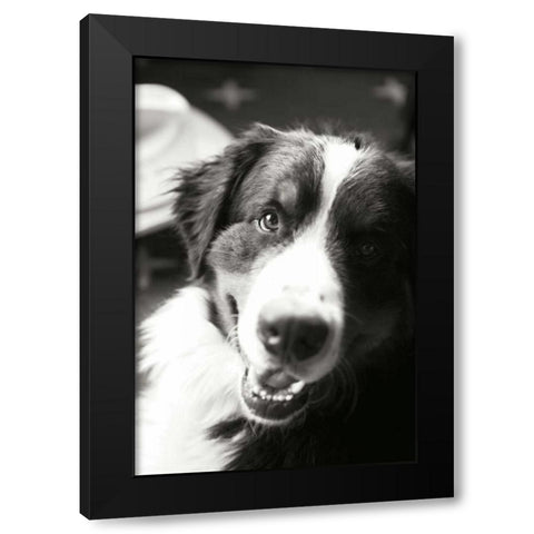 Ranch Dog Black Modern Wood Framed Art Print by Millet, Karyn