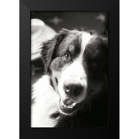 Ranch Dog Black Modern Wood Framed Art Print by Millet, Karyn