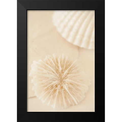 Ocean Treasures I Black Modern Wood Framed Art Print by Millet, Karyn