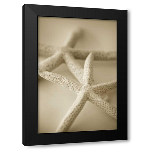 Ocean Treasures V Black Modern Wood Framed Art Print by Millet, Karyn