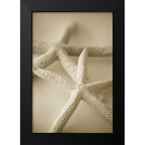 Ocean Treasures V Black Modern Wood Framed Art Print by Millet, Karyn