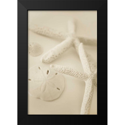 Ocean Treasures VI Black Modern Wood Framed Art Print by Millet, Karyn