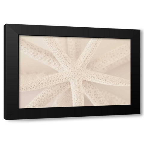 Ocean Treasures VII Black Modern Wood Framed Art Print by Millet, Karyn