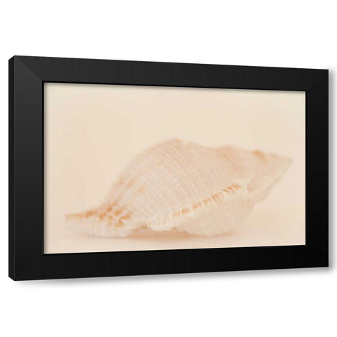 Ocean Treasures VIII Black Modern Wood Framed Art Print by Millet, Karyn