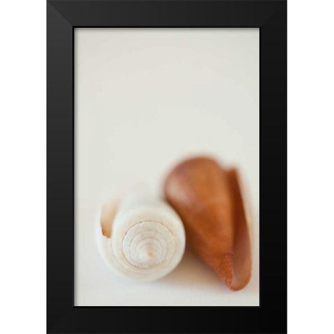 Shell by Shell II Black Modern Wood Framed Art Print by Millet, Karyn