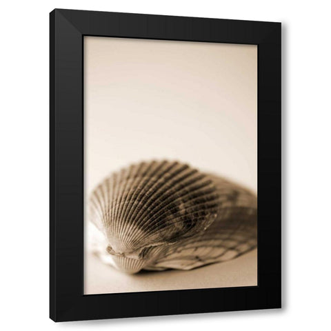 Shell Symmetry I Black Modern Wood Framed Art Print by Millet, Karyn