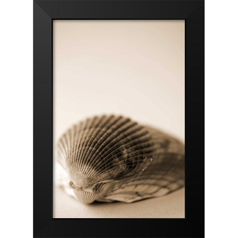 Shell Symmetry I Black Modern Wood Framed Art Print by Millet, Karyn