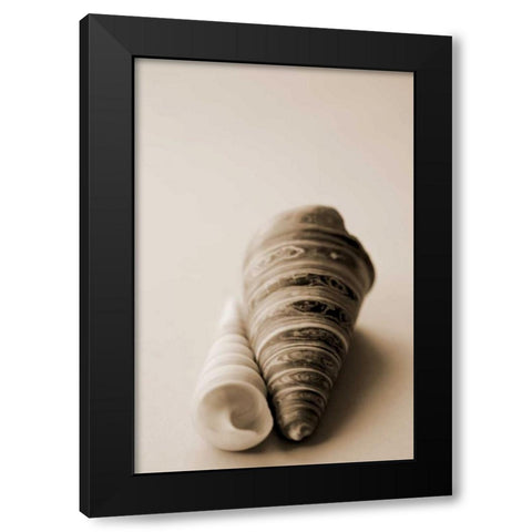 Shell Symmetry II Black Modern Wood Framed Art Print by Millet, Karyn