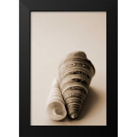 Shell Symmetry II Black Modern Wood Framed Art Print by Millet, Karyn