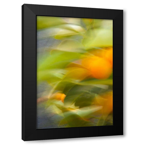 Abstract Vision II Black Modern Wood Framed Art Print by Millet, Karyn