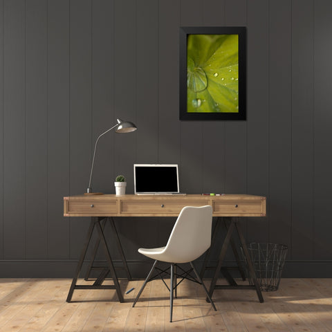 Tropical Leaves I Black Modern Wood Framed Art Print by Millet, Karyn