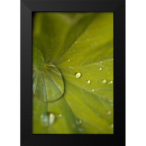 Tropical Leaves I Black Modern Wood Framed Art Print by Millet, Karyn