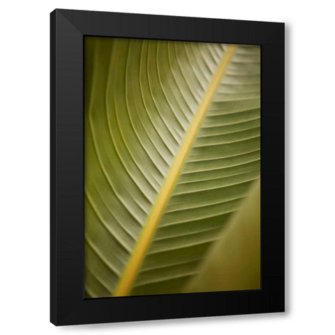 Tropical Leaves II Black Modern Wood Framed Art Print by Millet, Karyn