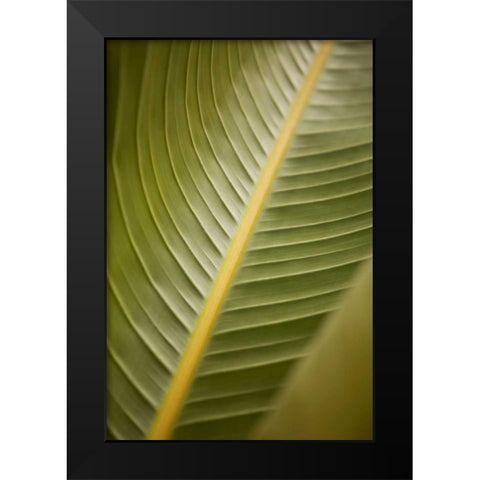Tropical Leaves II Black Modern Wood Framed Art Print by Millet, Karyn