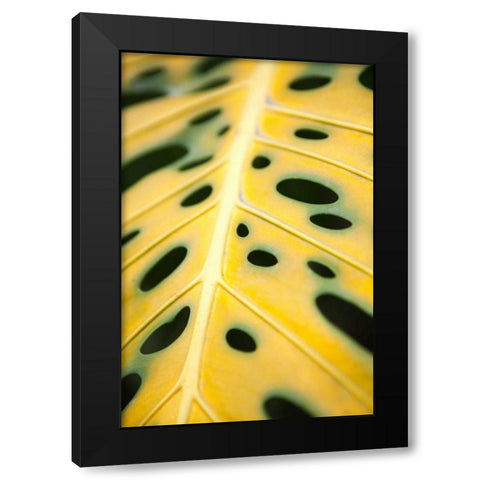 Tropical Leaves III Black Modern Wood Framed Art Print with Double Matting by Millet, Karyn