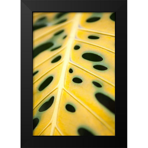 Tropical Leaves III Black Modern Wood Framed Art Print by Millet, Karyn