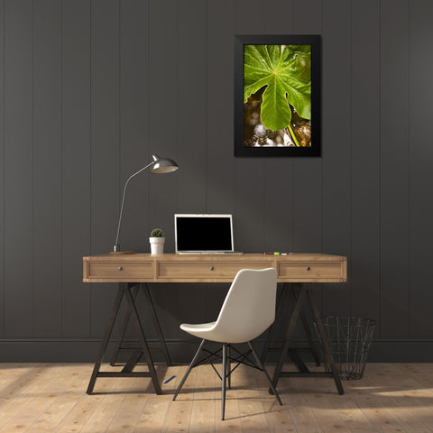 Tropical Leaves IV Black Modern Wood Framed Art Print by Millet, Karyn