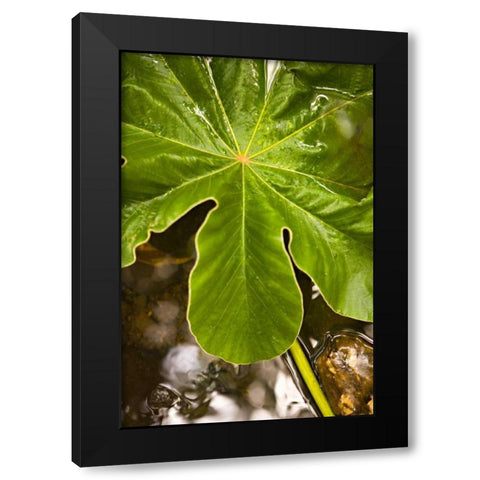 Tropical Leaves IV Black Modern Wood Framed Art Print by Millet, Karyn