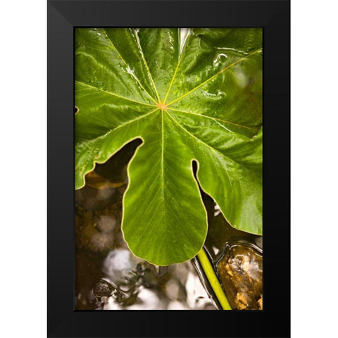 Tropical Leaves IV Black Modern Wood Framed Art Print by Millet, Karyn