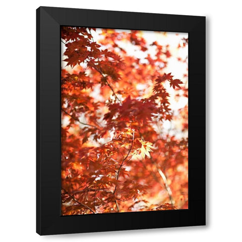 In the Trees I Black Modern Wood Framed Art Print with Double Matting by Millet, Karyn