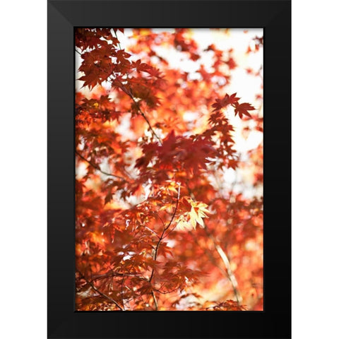 In the Trees I Black Modern Wood Framed Art Print by Millet, Karyn