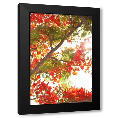 In the Trees II Black Modern Wood Framed Art Print by Millet, Karyn