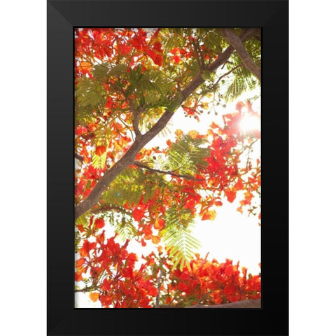 In the Trees II Black Modern Wood Framed Art Print by Millet, Karyn