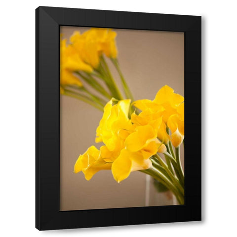 Yellow Calla Lilies Black Modern Wood Framed Art Print with Double Matting by Millet, Karyn