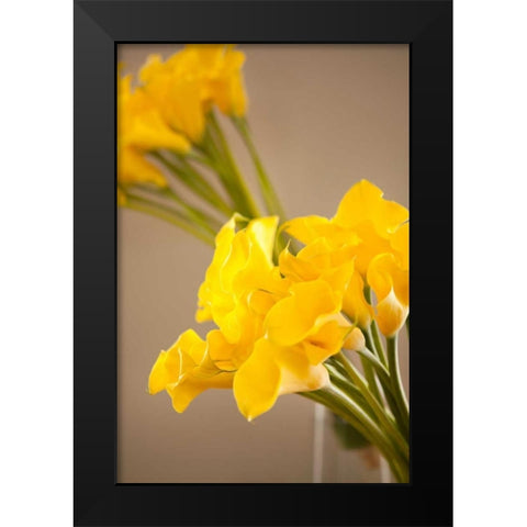 Yellow Calla Lilies Black Modern Wood Framed Art Print by Millet, Karyn
