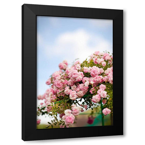Spring Blossoms I Black Modern Wood Framed Art Print by Millet, Karyn