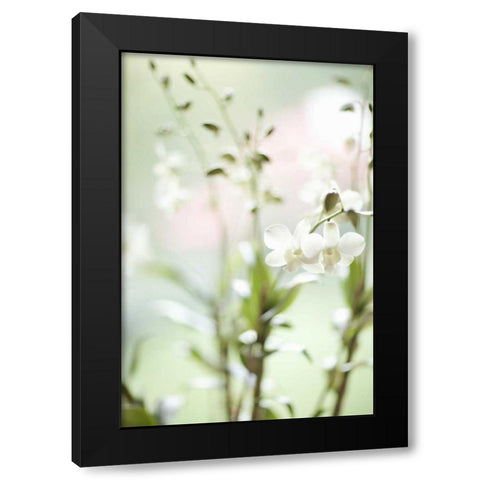 White Orchid I Black Modern Wood Framed Art Print with Double Matting by Millet, Karyn