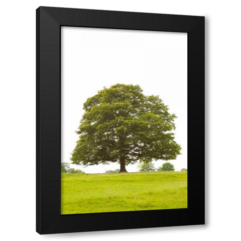 Tree I Black Modern Wood Framed Art Print by Millet, Karyn