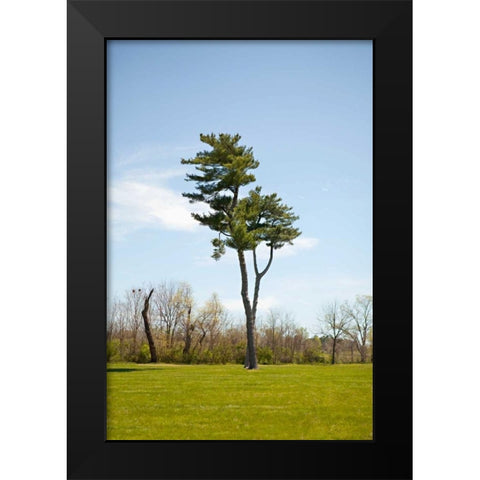 Tree II Black Modern Wood Framed Art Print by Millet, Karyn