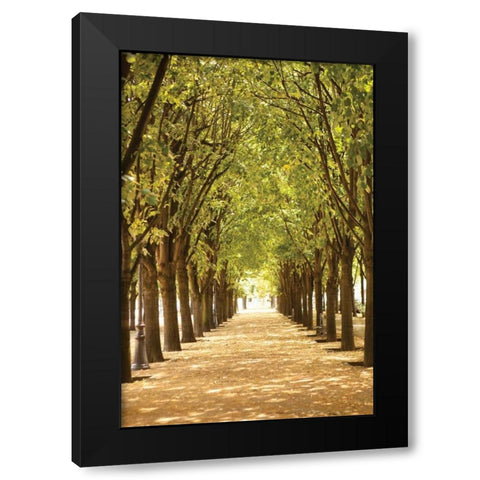 Follow the Path I Black Modern Wood Framed Art Print with Double Matting by Millet, Karyn