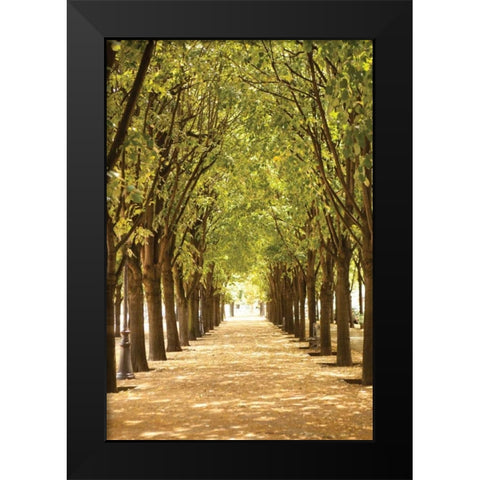 Follow the Path I Black Modern Wood Framed Art Print by Millet, Karyn