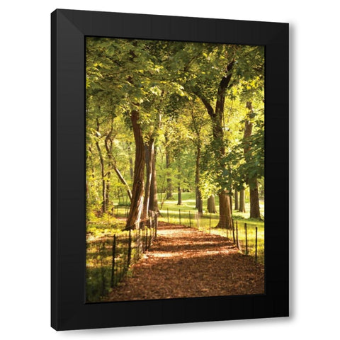 Follow the Path II Black Modern Wood Framed Art Print with Double Matting by Millet, Karyn