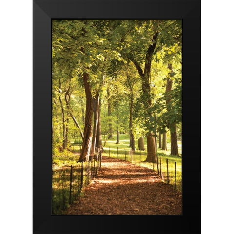 Follow the Path II Black Modern Wood Framed Art Print by Millet, Karyn