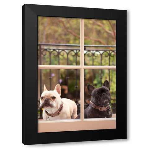 A Dogs Life II Black Modern Wood Framed Art Print by Millet, Karyn